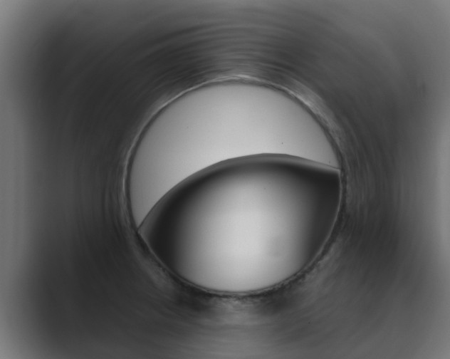 X0000089891234200706281104