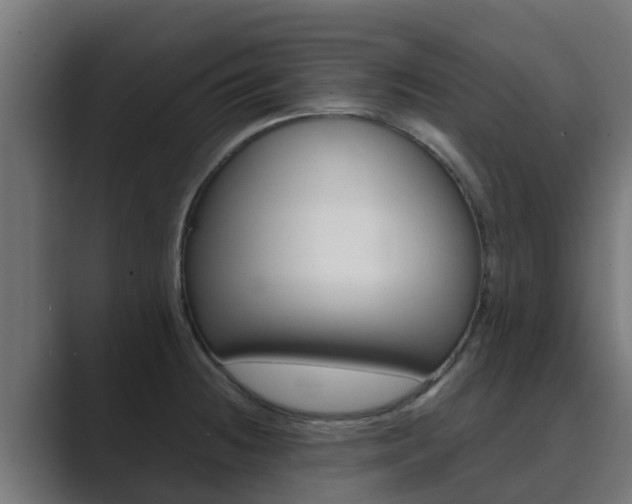 X0000089891236200706281104
