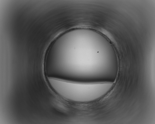 X0000089891237200706281104