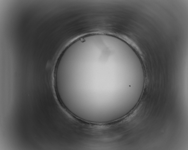 X0000089891239200706281104