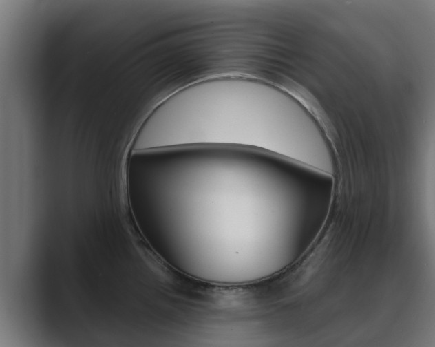 X0000089891242200706281104