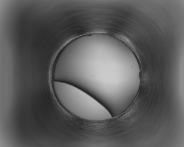 X0000089891243200706281104