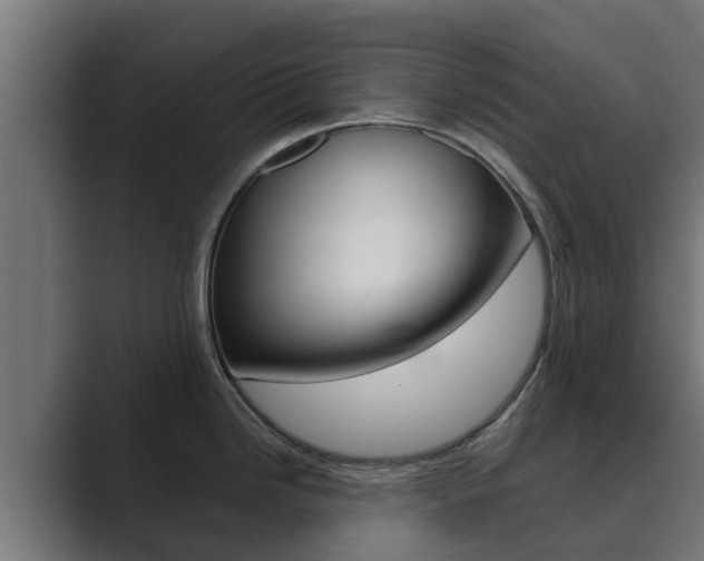 X0000089891246200706281104
