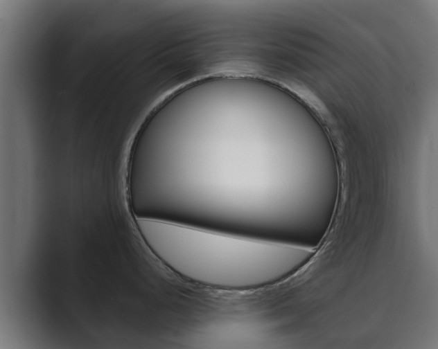 X0000089891248200706281104