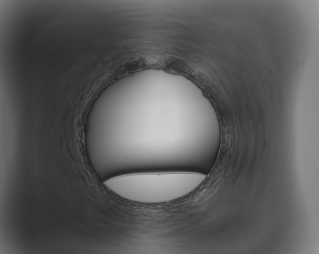 X0000089891249200706281103