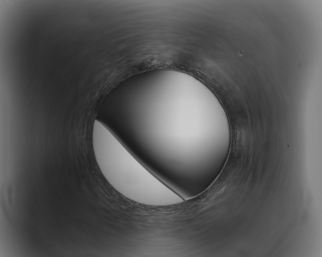 X0000089891250200706281103