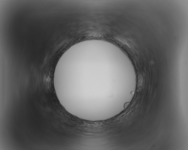 X0000089891254200706281103