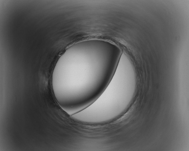 X0000089891257200706281103
