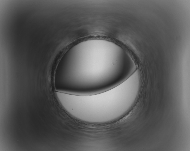 X0000089891261200706281103