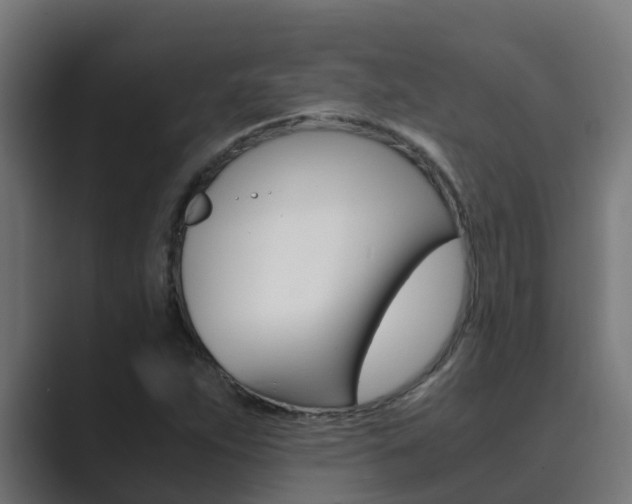 X0000089891263200706281103