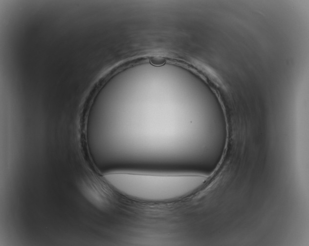 X0000089891264200706281103