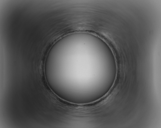X0000089891265200706281103
