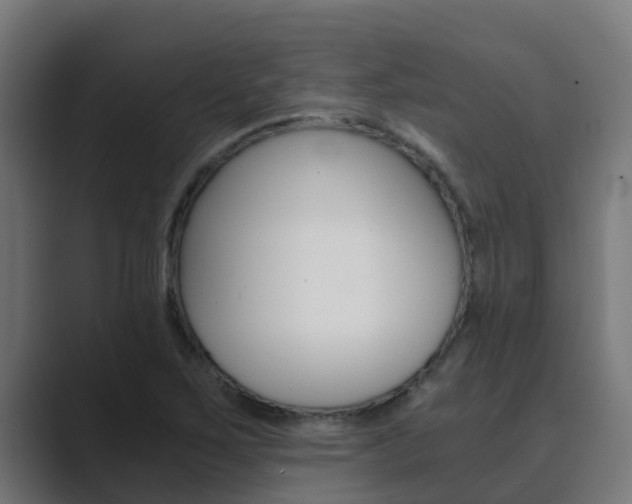 X0000089891267200706281103