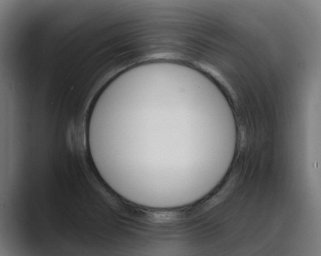 X0000089891274200706281103