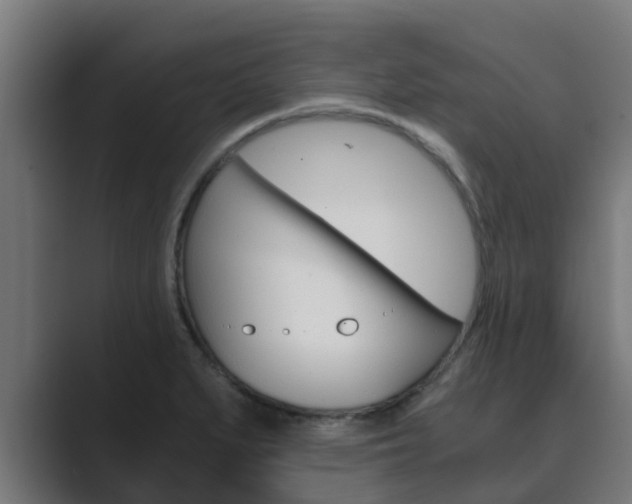 X0000089891279200706281103
