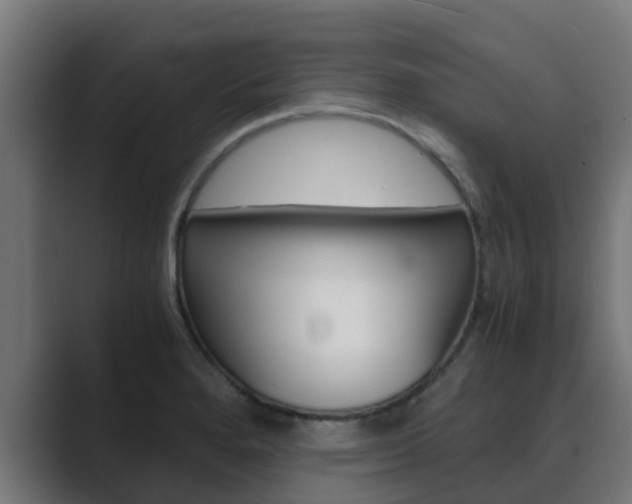 X0000089891280200706281103