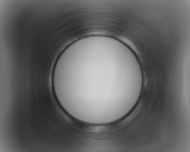 X0000089891282200706281103