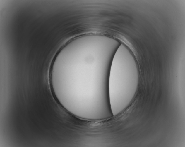 X0000089891283200706281103