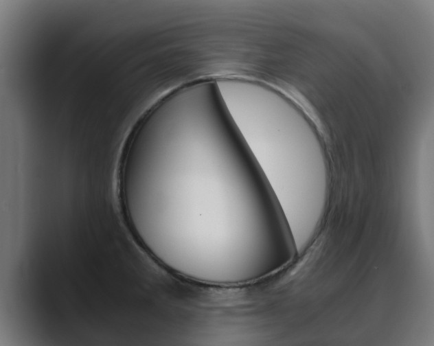X0000089891285200706281103