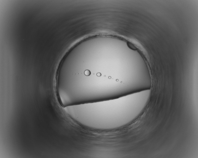 X0000089891287200706281103