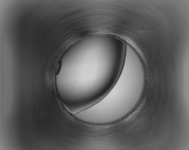 X0000089891289200706281103