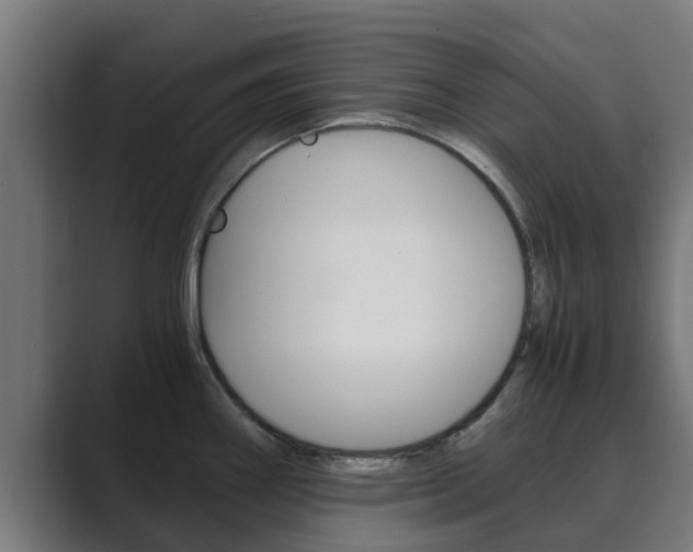 X0000089891290200706281103