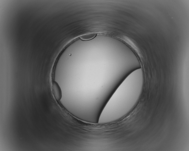 X0000089891291200706281103