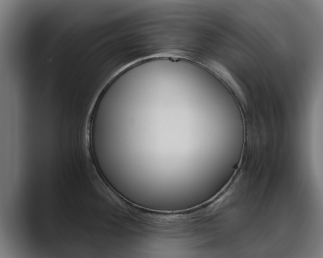 X0000089891292200706281103
