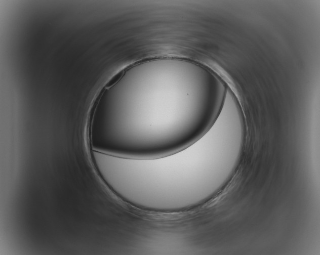 X0000089891293200706281103