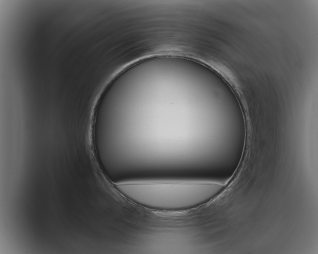 X0000089891296200706281103