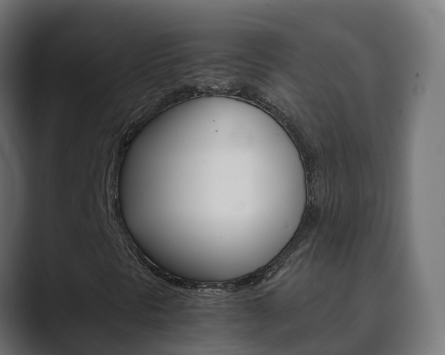 X0000089891297200706281102