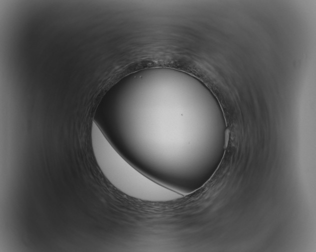 X0000089891298200706281102