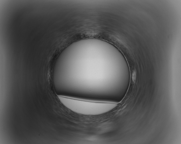 X0000089891299200706281102