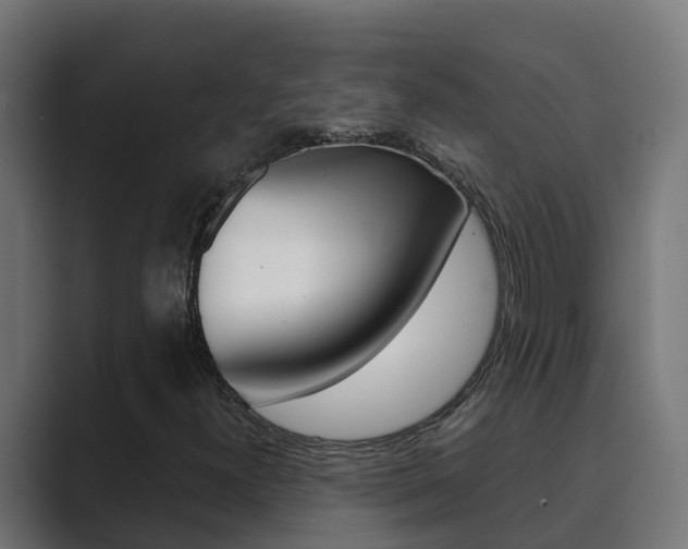 X0000089891300200706281102
