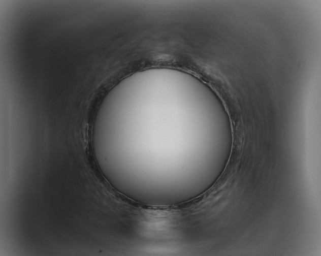 X0000089891301200706281102