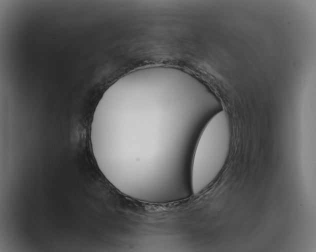 X0000089891302200706281102
