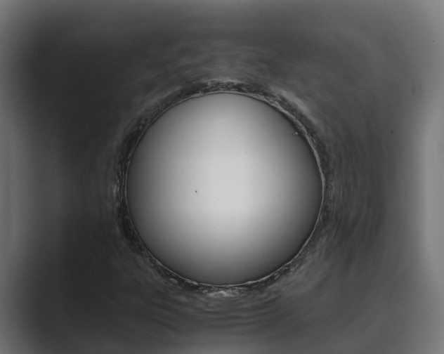 X0000089891303200706281102