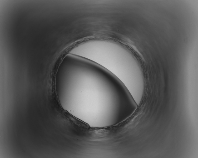 X0000089891304200706281102