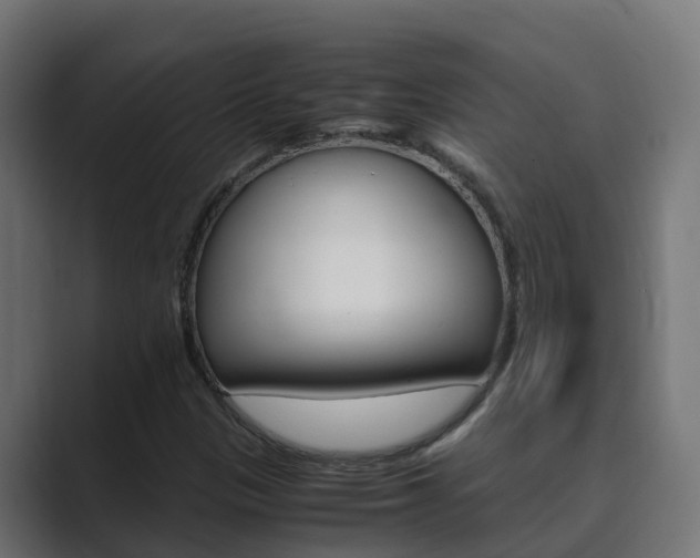 X0000089891305200706281102