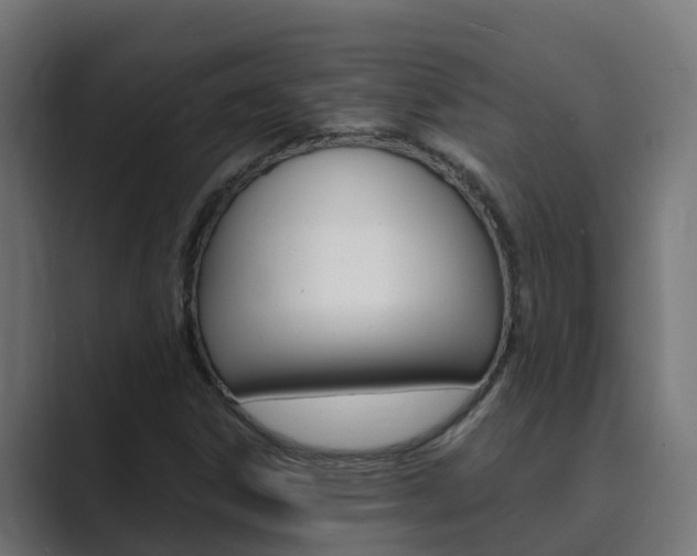 X0000089891306200706281102