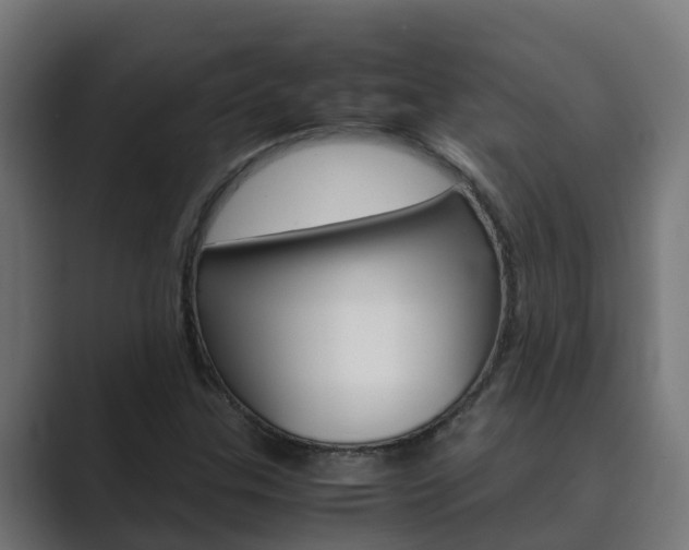 X0000089891307200706281102