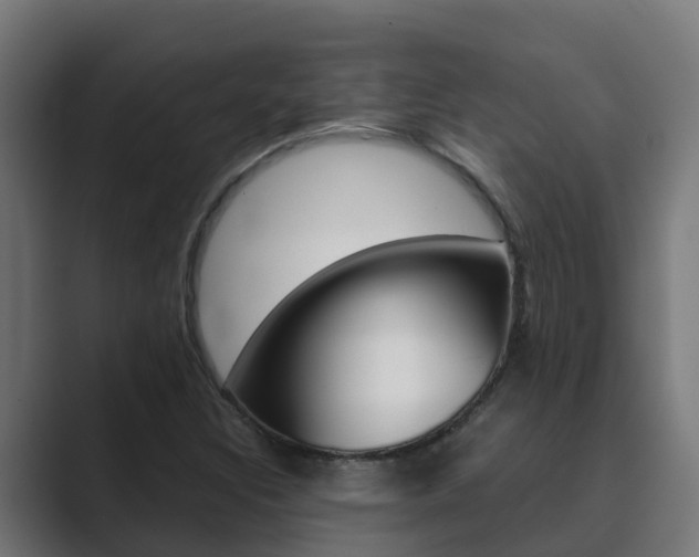X0000089891308200706281102