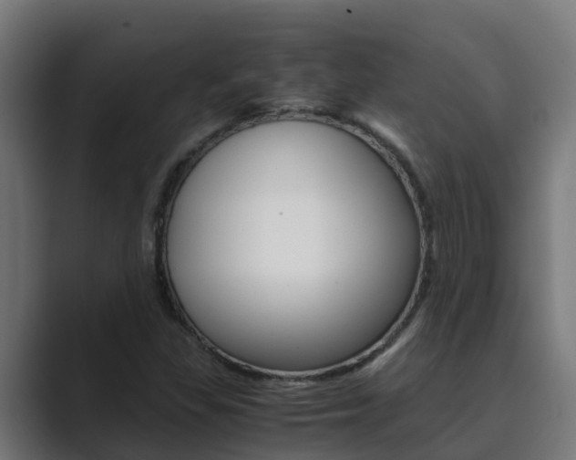 X0000089891309200706281102