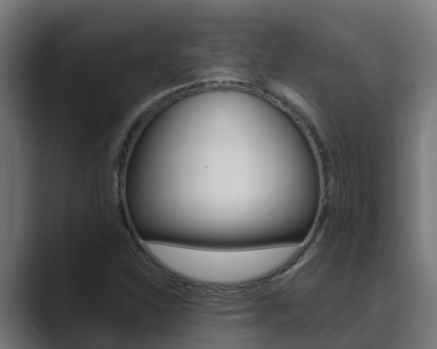 X0000089891310200706281102