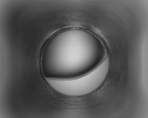 X0000089891312200706281102