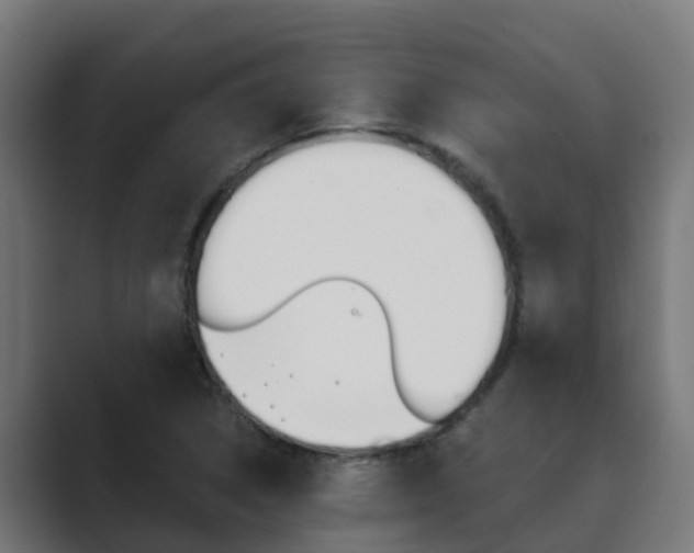 X0000089891314200706281102