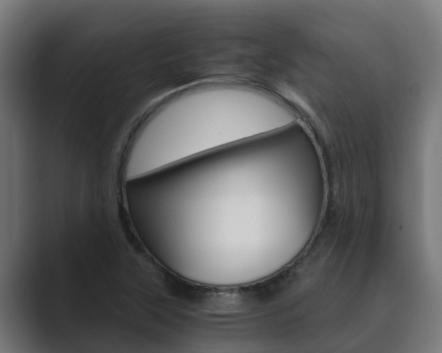 X0000089891315200706281102