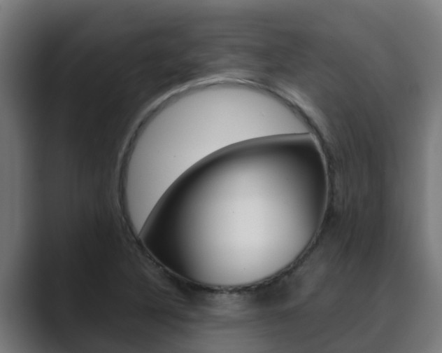 X0000089891316200706281102