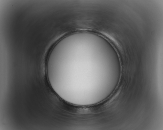 X0000089891317200706281102