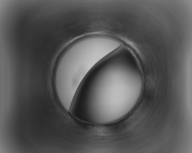 X0000089891319200706281102